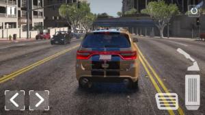 杜兰戈模拟器游戏最新安卓版图片1