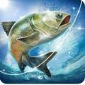 钓鱼任务游戏官方安卓版 v1.0.9