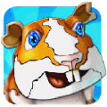 疯狂动物酷跑游戏官方安卓版 v1.0