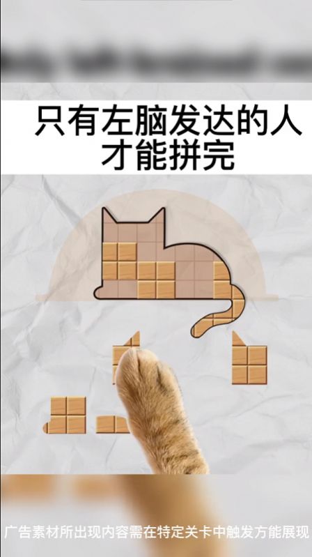 今晚来拼板游戏图2