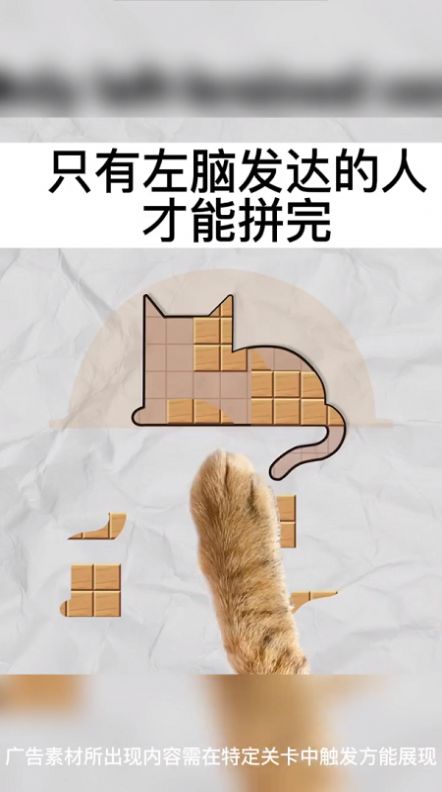今晚来拼板游戏图3