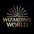 wizarding world中文官方