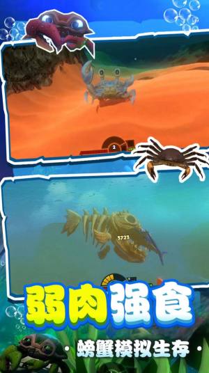 螃蟹生存作战游戏图2