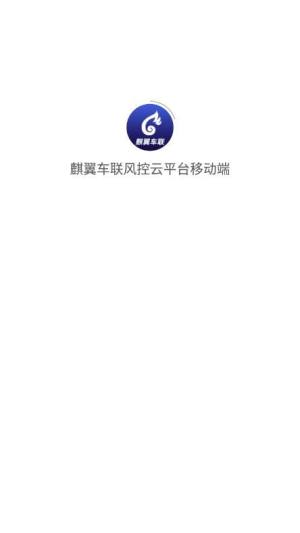 麒翼车联风控云平台移动端app图2