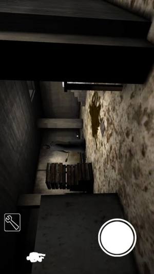 模拟老奶奶游戏中文汉化版图片1