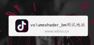 volumeshader_bm测试怎么打开   安卓/苹果手机volumeshader_bm打开教程图片1