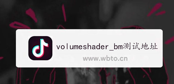 volumeshader_bm测试怎么打开   安卓/苹果手机volumeshader_bm打开教程[多图]