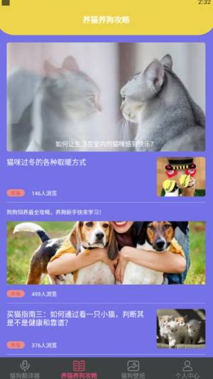 狗生模拟交流器app官方版图片1