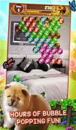 小狗流行游戏官方版图片1