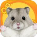 枫叶鼠之谷游戏下载安卓版 v1.0
