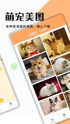 猫狗宠物翻译app图1