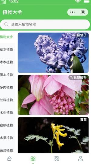 维泰植物识别app软件图片1