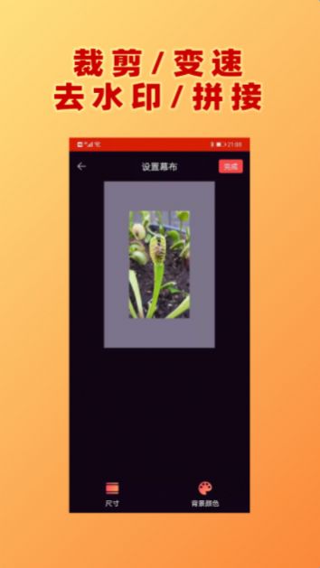 视频加文字app图2