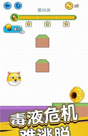 抖音狗狗肿么了游戏官方下载最新版图片1