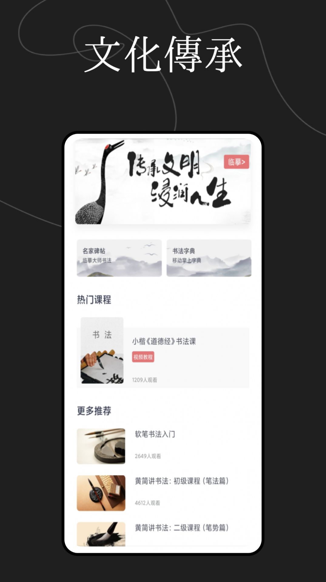 硬笔书法练字大师app图2