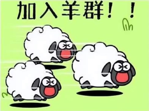 羊了个羊槽位已满怎么重新开始    槽位已满重新开始游戏方法介绍[多图]
