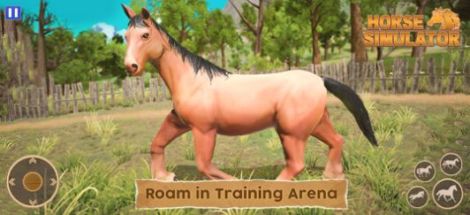 骑马动物模拟器游戏图1