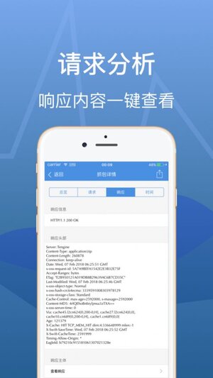 stream抓包羊了个羊手机版图片2