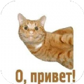 俄语助手app官方版下载 v1.1