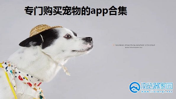 专门购买宠物的app-购买宠物的app-最火的宠物交易app