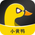 小黄鸭视频app安卓版下载安装 v1.0