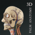 掌上3D解剖app手机版 v2.0