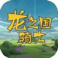 龙之国骑士游戏官方安卓版 v1.0