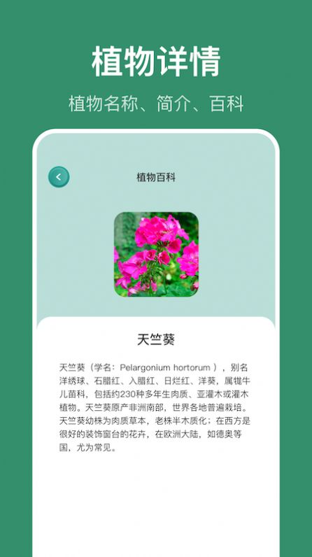 识花草app图1