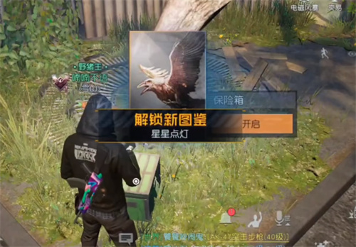 黎明觉醒星星点灯藏宝图位置在哪   星星点灯藏宝图坐标位置分享图片8