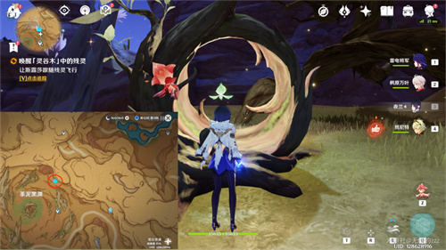 原神灵谷木在哪   3.6版10个灵谷木分布位置大全[多图]图片5