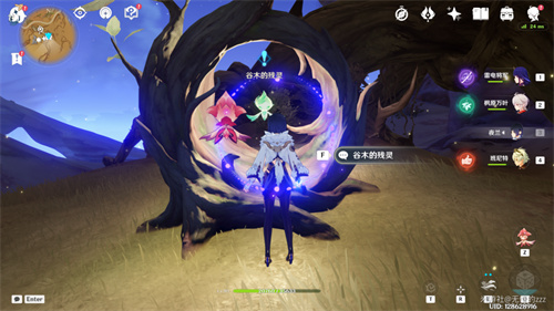 原神灵谷木在哪   3.6版10个灵谷木分布位置大全[多图]图片11