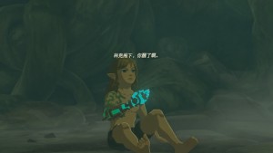The Legend of Zelda Tears of the kingdom攻略大全  Tears of the kingdom通关图文流程一览图片21