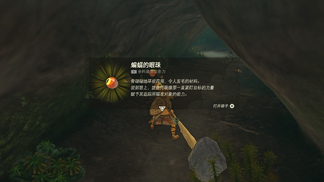 The Legend of Zelda Tears of the kingdom攻略大全  Tears of the kingdom通关图文流程一览[多图]图片96