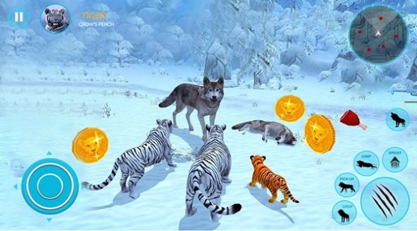 野生白虎家庭模拟游戏图2