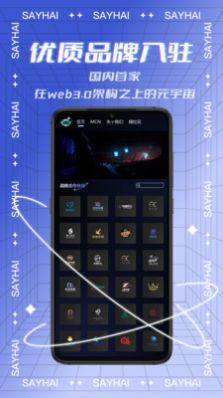 Say嗨元宇宙app图2