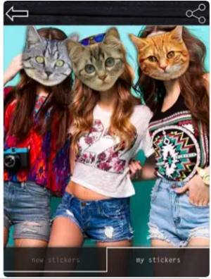 切片贴app手机版图片1