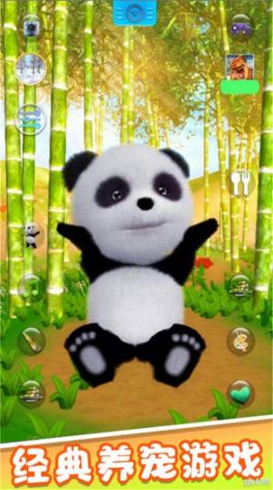 旅行熊猫历险记游戏图2
