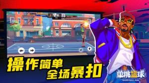 单挑篮球1v1游戏安卓版图片1