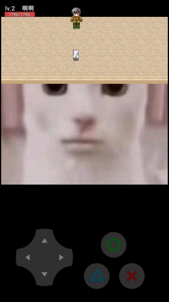 猫猫惊魂2手机版中文下载图片1