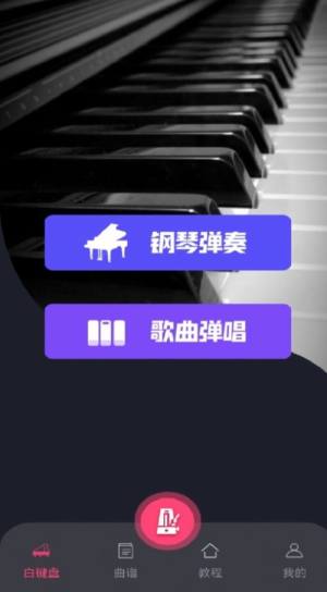 指尖上的钢琴大师app图1