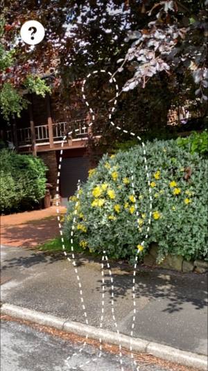 Super You软件官方app图片1