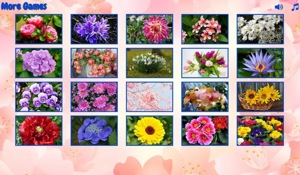 拼图的花朵游戏官方安卓版图片1