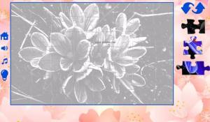 拼图的花朵游戏官方安卓版图片5