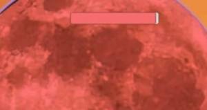 M木糖M迈特凯幸存者游戏下载免广告图片1