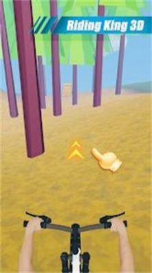 骑行王3D游戏图3
