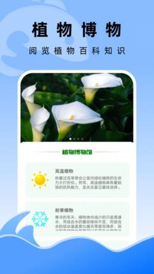 飞鱼文件管家app手机版图片1