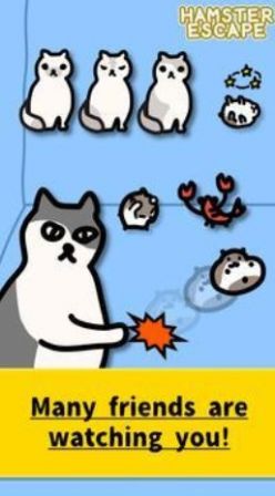 仓鼠快逃游戏图1