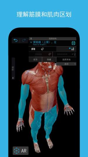 肌肉与运动机能学app手机版图片1