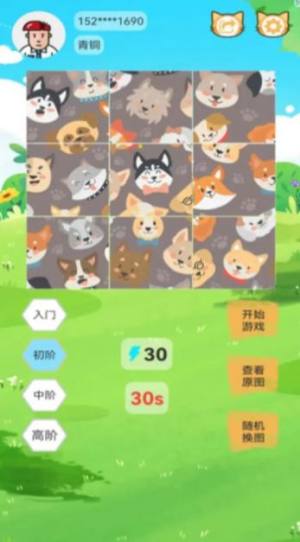 宠物乐拼图游戏下载红包版图片1