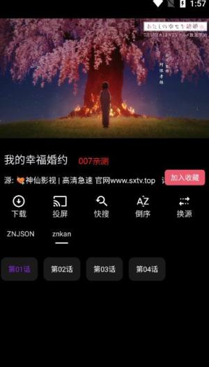 sytv.top影视app图3